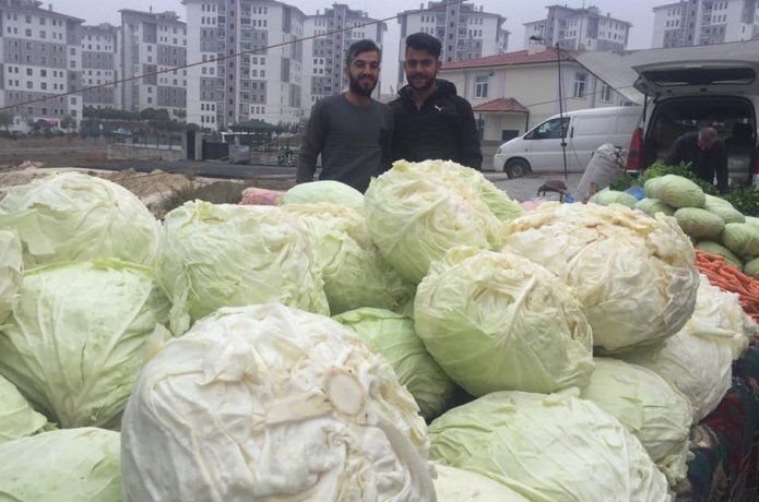 Turşuluk lahana satışları arttı