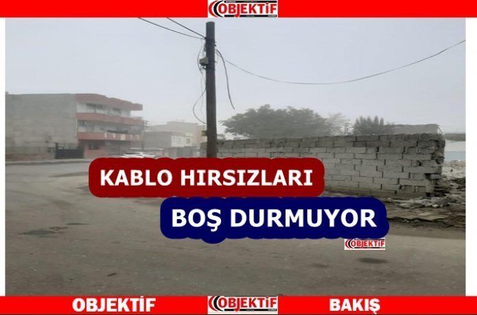 Geleceğimizi çaldılar