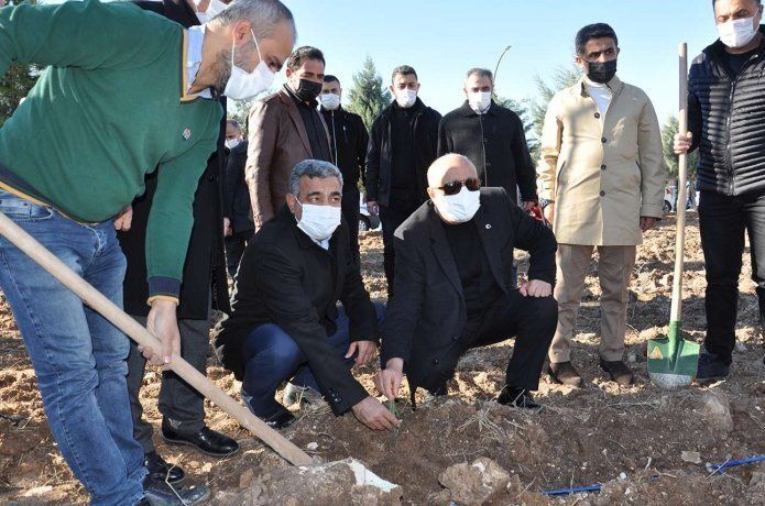 “Şehit Yasin Börü Ormanı”na 20 bin lavanta fidanı dikildi